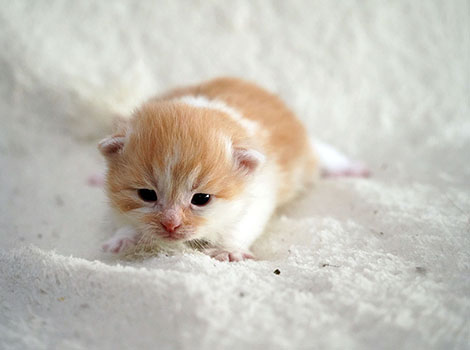 Otto am 8. März 2025